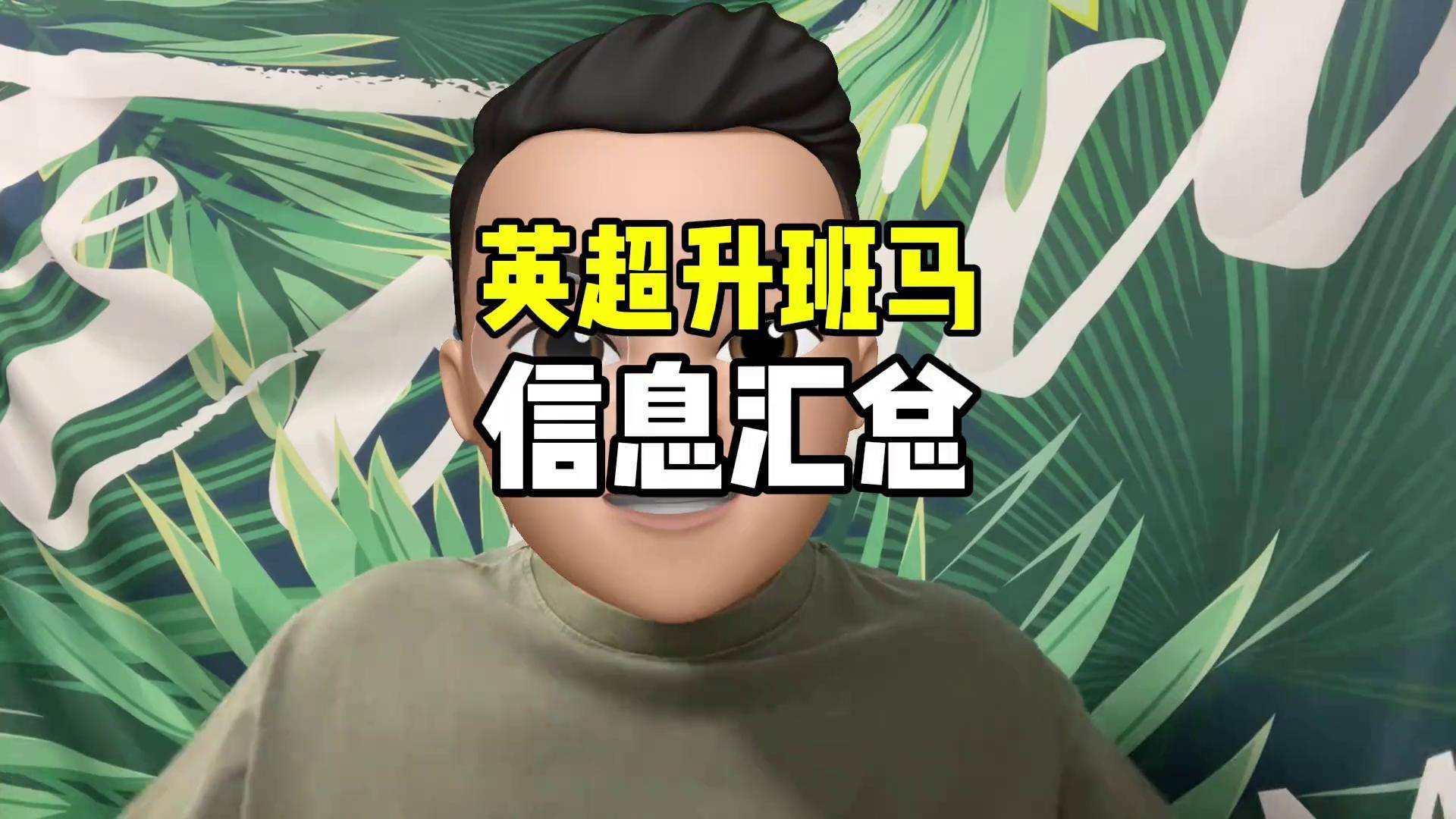 包含英超保级大战：升班马生存指南的词条