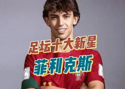 “当红球星分享经验，启发年轻一代！” 