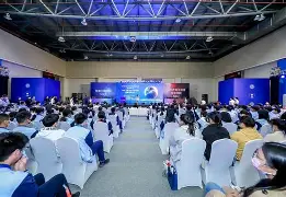 《职业陪练真的赚钱吗？电竞灰色产业链曝光》 