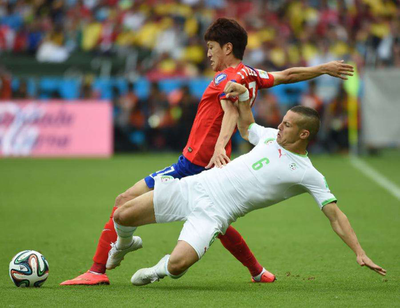 关于哪支球队球迷最“毒舌”？的信息